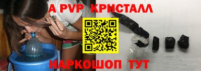 стаф Тверь