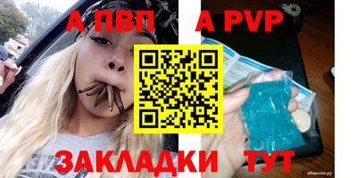 стаф Тверь