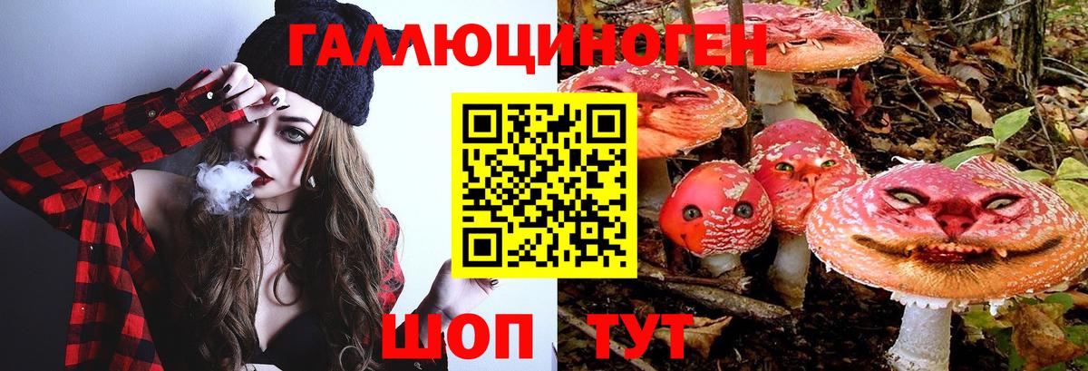Галлюциногенные грибы Cubensis  где найти   Нарткала  Вход с VPN 