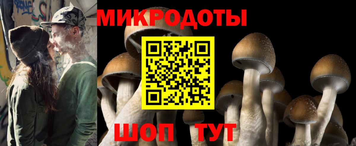 Галлюциногенные грибы Psilocybine cubensis Нарткала